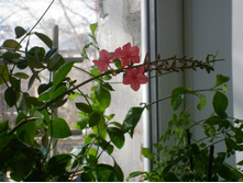 ��������� �������