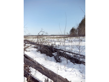 IMG 20160320 094323.jpg