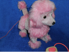 ������� ������������� �� ������ "������", 300 ���.