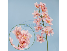 ��000560 ������� ��������� ������-������� 87 �� (12 ��. � ���.)(Mbox 72 ��.) ������ ���� 522�. ����� ���� 313,20