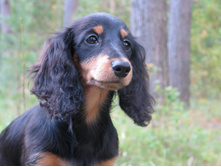 11940721 925702644162826 8731713020197759698 o.jpg