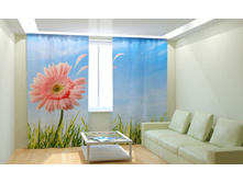 ��������� ������� ��������.jpg