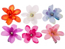 8730. �����. �����. 12 ��. 7 ��. 179 ���.jpg