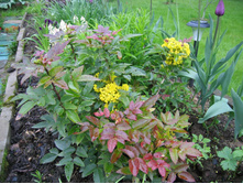 ������� �������������