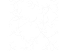 71026-10.jpg