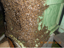 7947269.DSCN6860 thumb.jpg