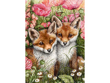 ������� - 27 �� 38 Ag 1041 - 846 ���.