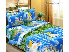 ������� ���� ��ң����� ����