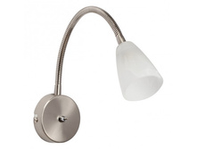 508020101 650�.jpg