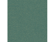 3804.jpg