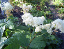 �������� ����������.JPG