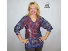 �1731 �����