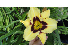 ��� ��������� (2).JPG