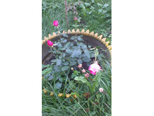 05.09.2015 �������