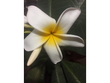 IMG 20151009 165143.jpg