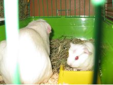 IMG 4299.JPG