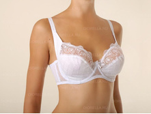 ����������� 62905D. --- 480 ���.