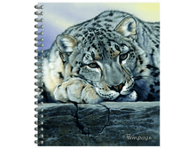 ������� 80 � �5, �� ������ - ������ �����