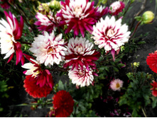 №54 ����� ������.jpg