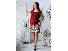 4172(15) �-�� 48-54.jpg