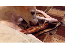 P 20160303 192230.jpg