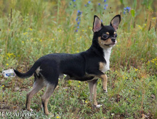 1560444 979171995482557 4051395604047563676 n.jpg