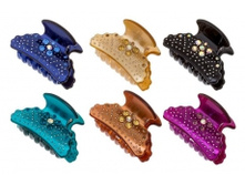 2520. ����. �������, ������. 6 ��. 4,5 ��. 209 ���.jpg