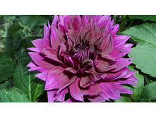 №6 ����� ������.jpg