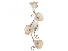 242015104 1900�.jpg