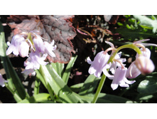 ���������� �������