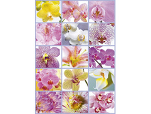 16302 ���� 1500 ������� �����, ������.JPG