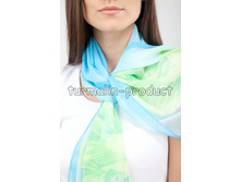 ������������ �������� ���� �������: 51 900 ���.