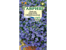 ������� ����� ������ ������ 9,10 ���.[���.3002299]