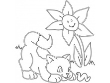 �5 �����.jpg