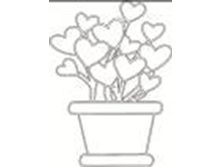Image507.png