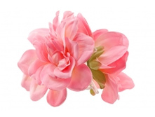 5045. �����. ����. ������ 11 ��. 49 ���.jpg