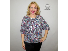 �1802 ��������