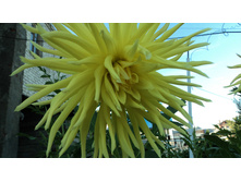 №8 �����������.jpg