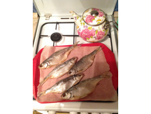 ����� �������