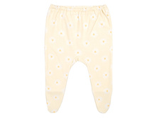 5246 ��� ����� ��15