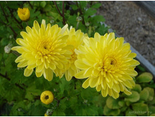 ���������� ������