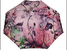 Image377.png