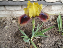 ���� Being Busy