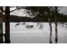 IMG 20160313 135809.jpg