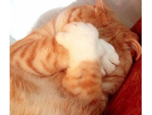 ���, ������ �� ���! �� ���� �� ��� ��������!