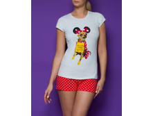 455,00  ������ ���. FRAN*NI 24*9763