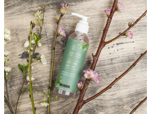 100 ��� �������� �� ���� - ������ ������ � ������ ������ 200 ��