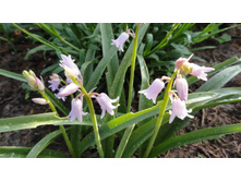 ���������� �������