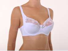 ����������� 33842E. --- 559 ���.