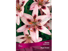 ����� ���� �����.jpg